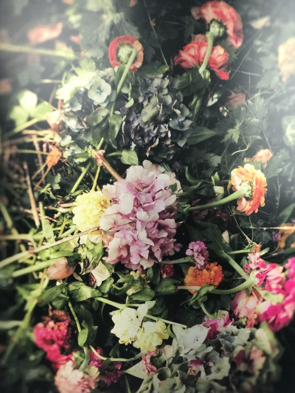 Photo impression sur aluminium par Brigitte Sauvignac « Tout passe si vite… » – Image 3
