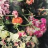 Photo impression sur aluminium par Brigitte Sauvignac « Tout passe si vite… » – Image 4