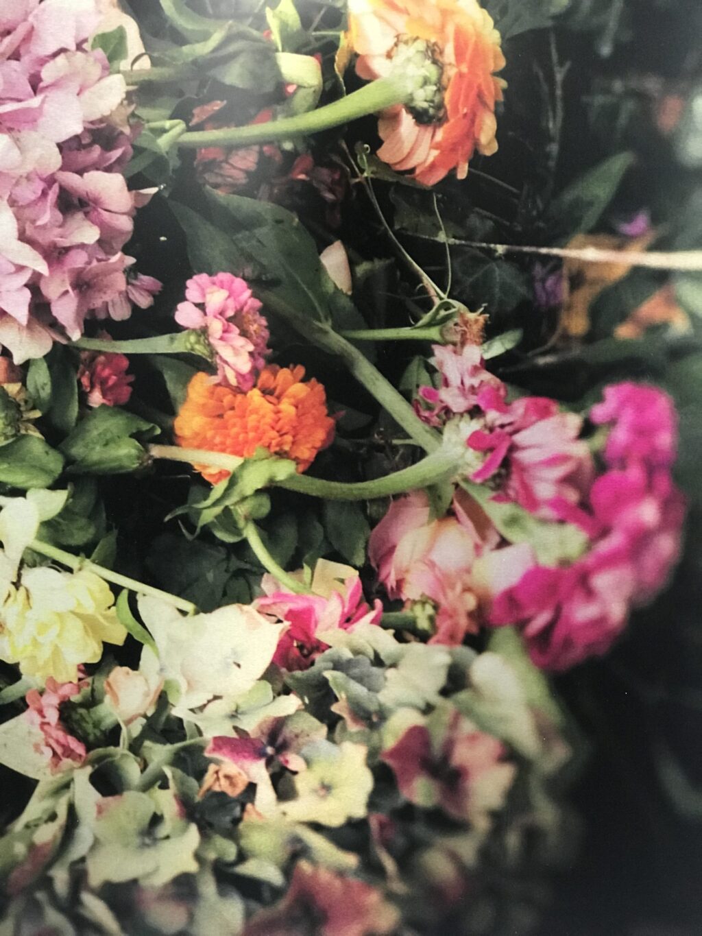 Photo impression sur aluminium par Brigitte Sauvignac « Tout passe si vite… » – Image 4