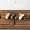 Lot de 5 coussins imprimés fauve – Image 2
