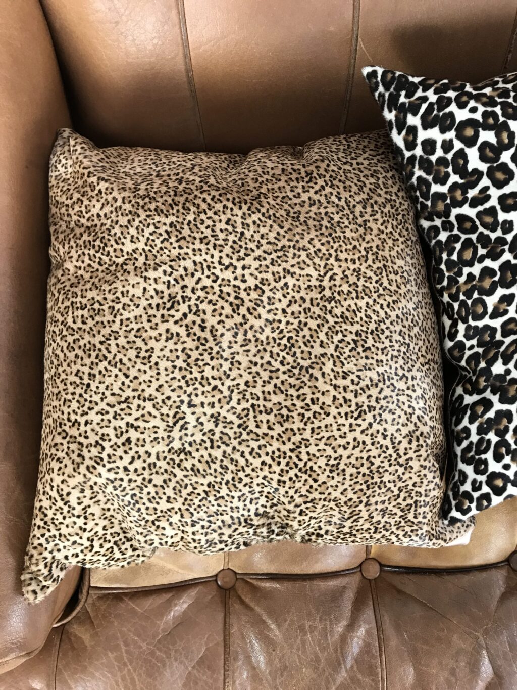 Lot de 5 coussins imprimés fauve – Image 3
