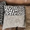 Lot de 5 coussins imprimés fauve – Image 5