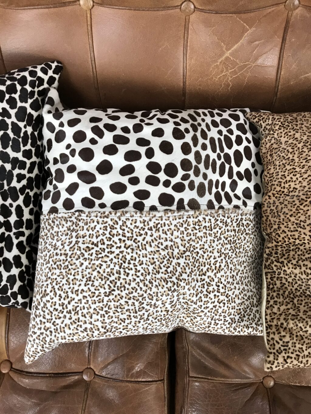 Lot de 5 coussins imprimés fauve – Image 5