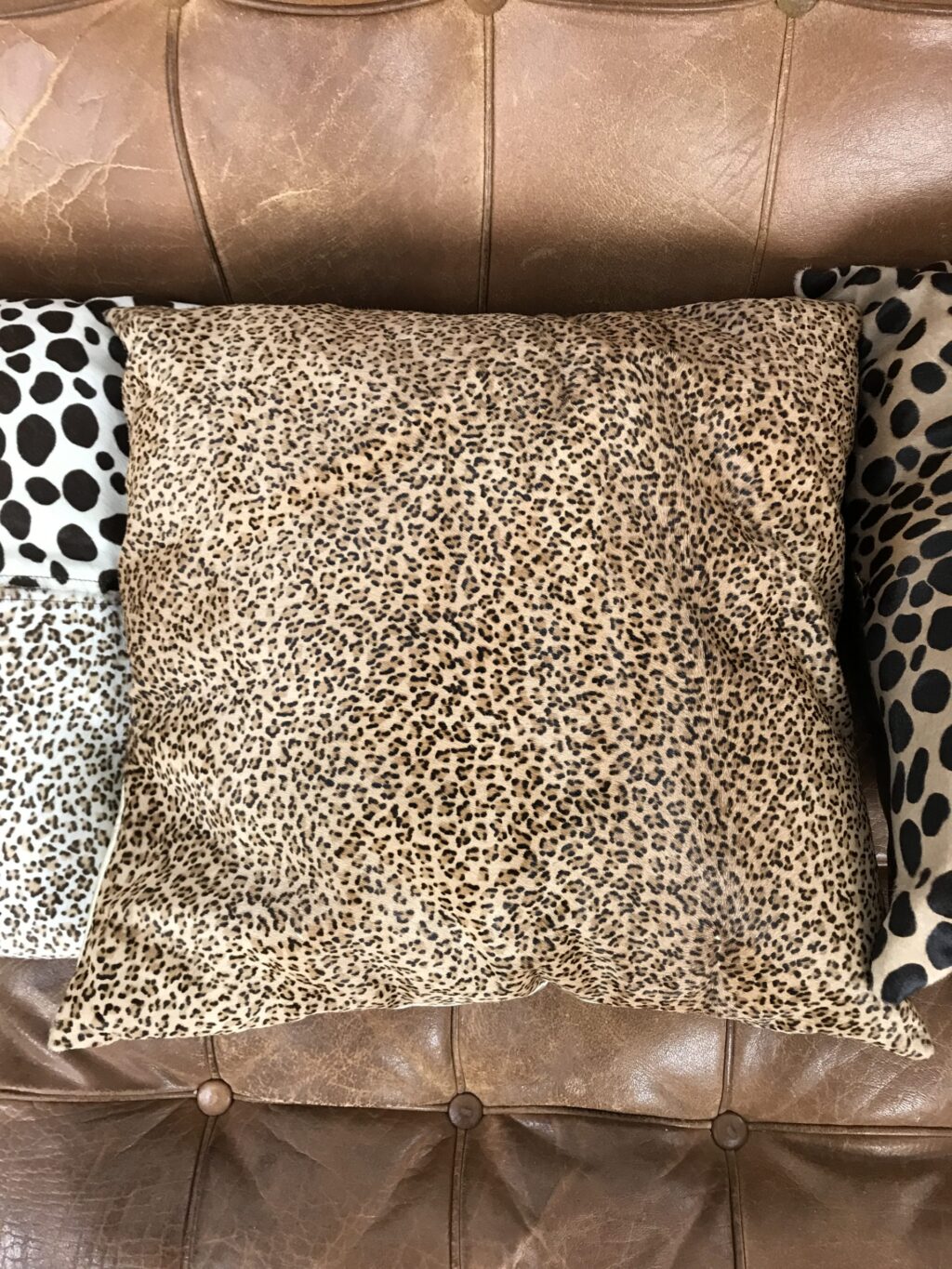 Lot de 5 coussins imprimés fauve – Image 6