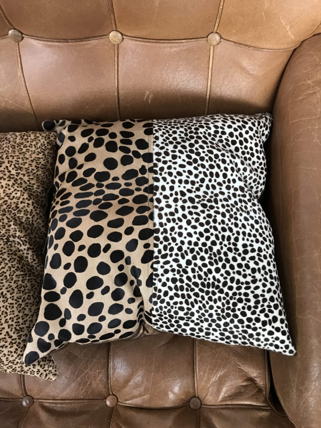 Lot de 5 coussins imprimés fauve – Image 7
