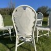 ensemble en rotin table +5 chaises