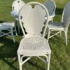 ensemble en rotin table +5 chaises