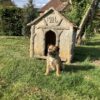 Niche en ciment
