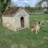 Niche en ciment – Image 3