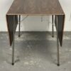 Table+1chaise Ant