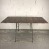Table+1chaise Ant – Image 3