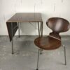 Table+1chaise Ant – Image 5
