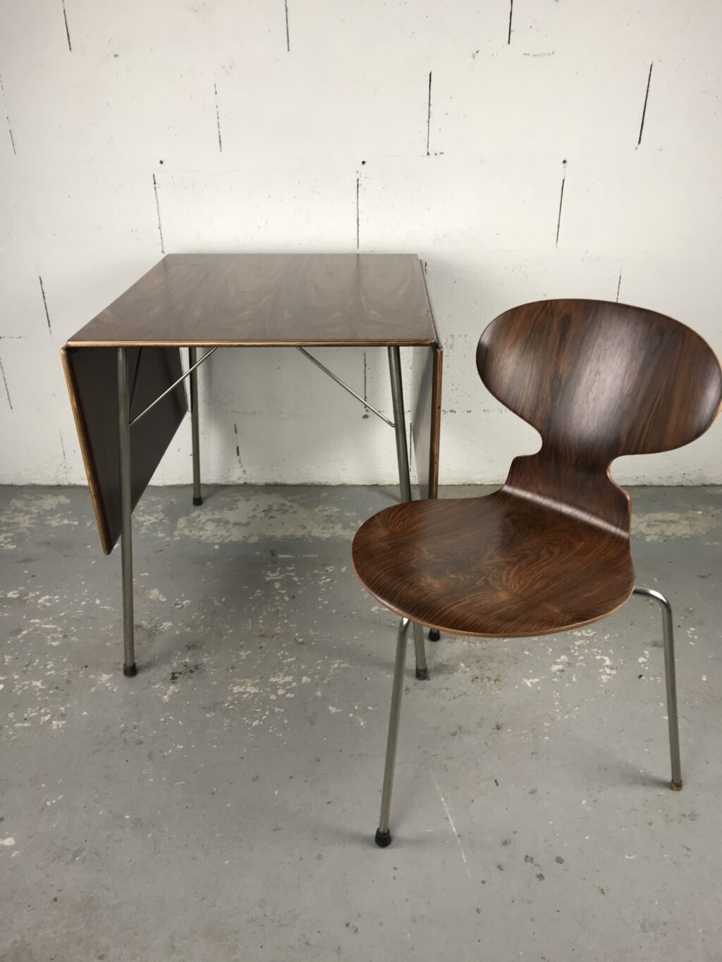 Table+1chaise Ant – Image 5