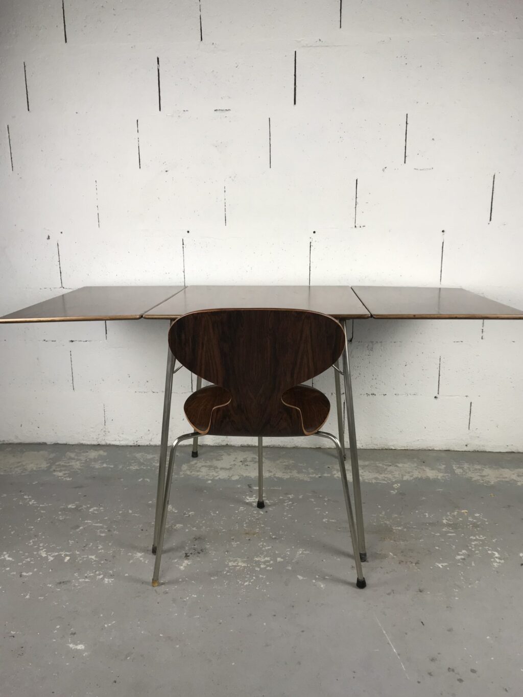 Table+1chaise Ant – Image 6