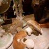 Champignons en porcelaine "Porcini" - 3 dimensions