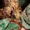 Grand plat en barbotine polychrome figurant poissons, couleuvres insectes -fin XIXe par les suiveurs de Palissy – Image 7