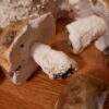 Champignons en porcelaine "Porcini" - 3 dimensions – Image 6