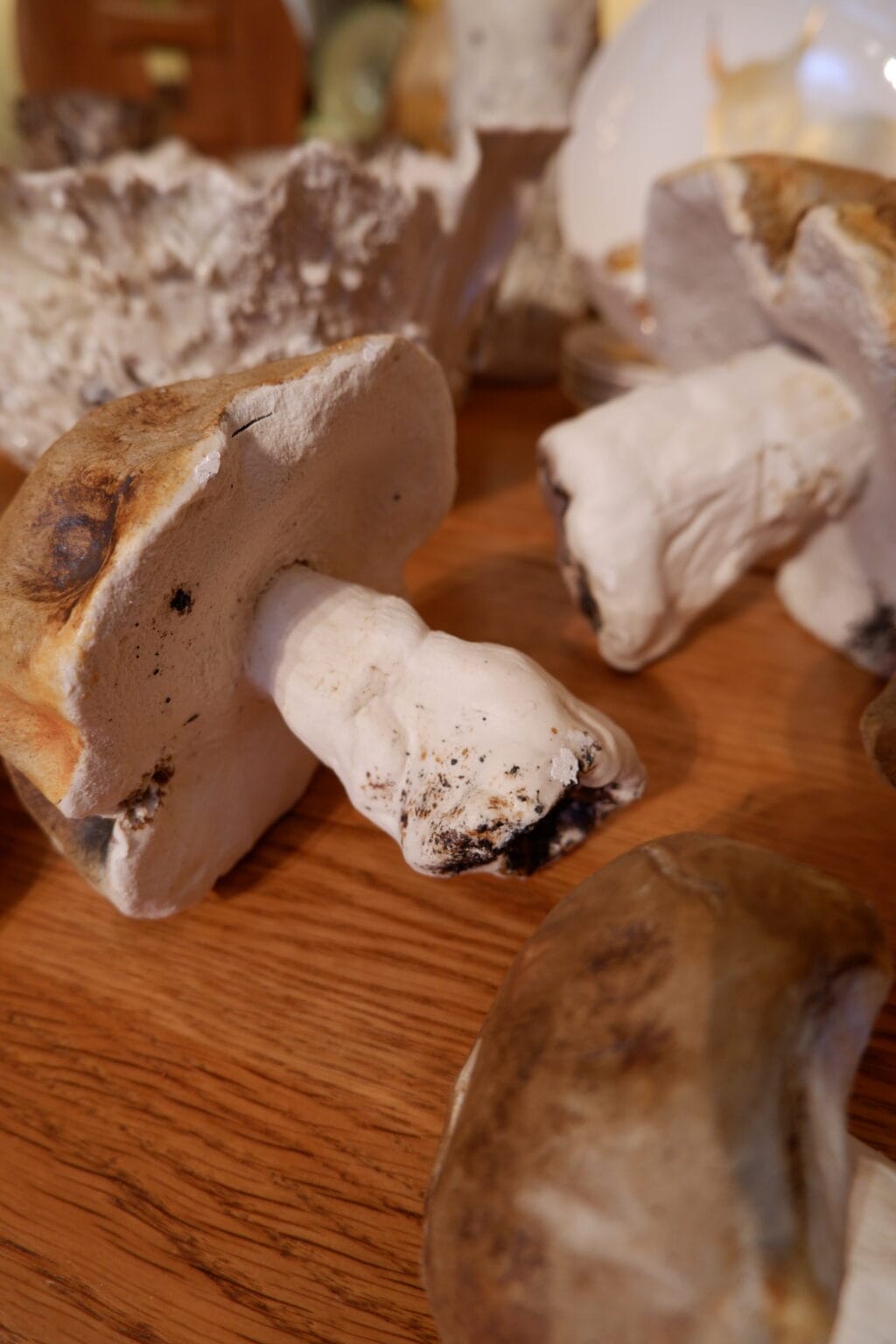 Champignons en porcelaine "Porcini" - 3 dimensions – Image 6