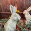 Un lapin & son petit- en pierre sculptée- Granit - XXe – Image 4