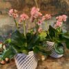 Paire de cache-pots en porcelaine blanche motif cordes ajourées