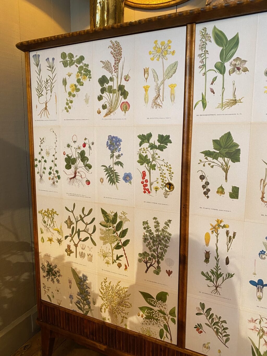 Buffet haut en bouleau teinté &amp; recouvert de planches botaniques &quot;Flora&quot; d&#039;aprés Lindmans - Suède ca.1960 – Image 6