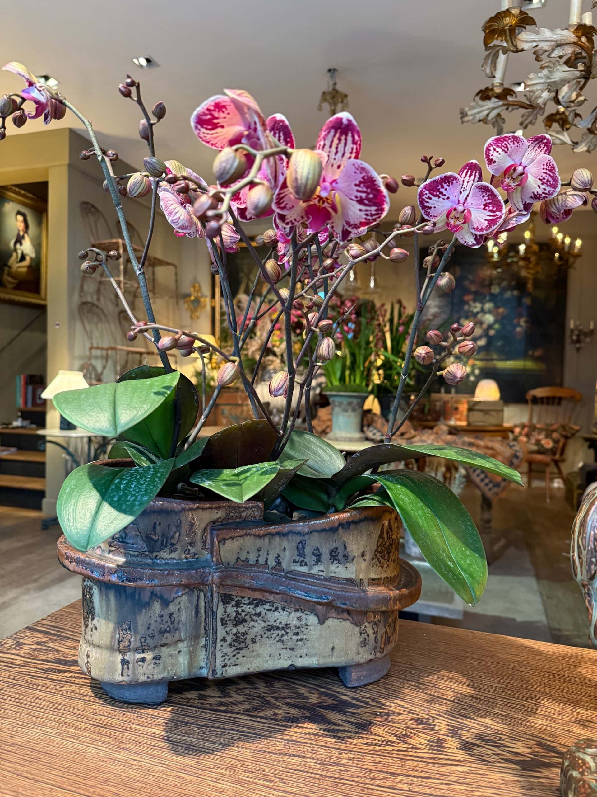 Grande jardinière “bandeau” en grés émaillé – par Curt Magnus Addin – Danemark XXe