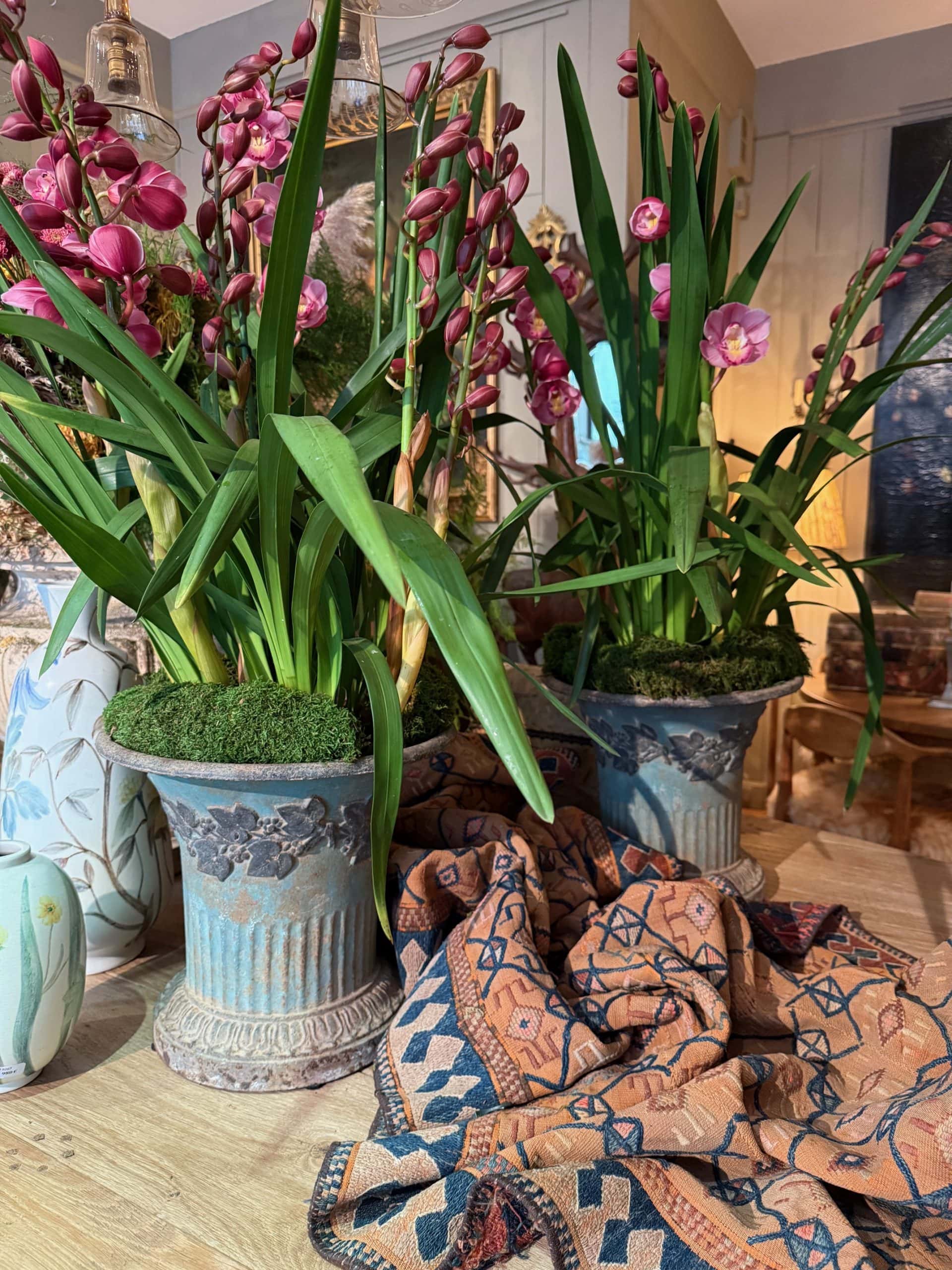 Une paire de cache pots en fonte patine bleu/vert décor pampres de vignes