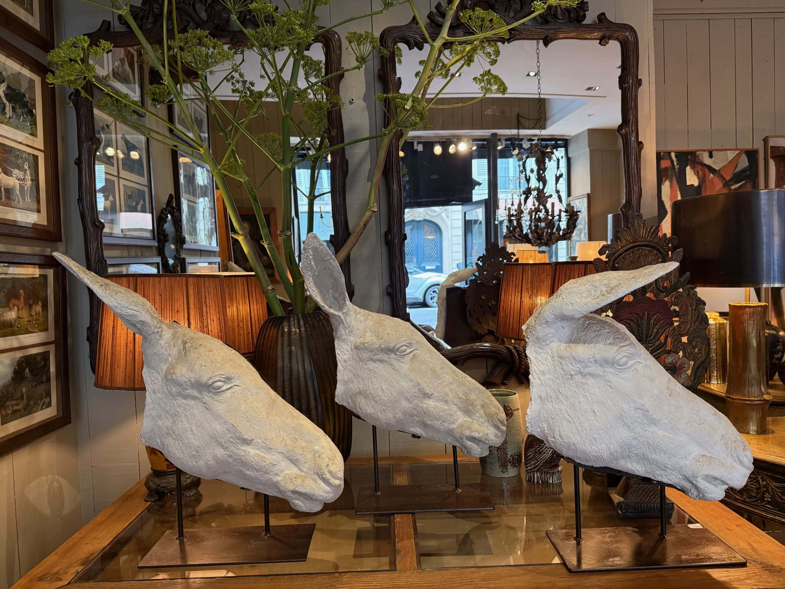 Collection de 3 profils d’Anes en plâtre – sur socles en fer ca.1900