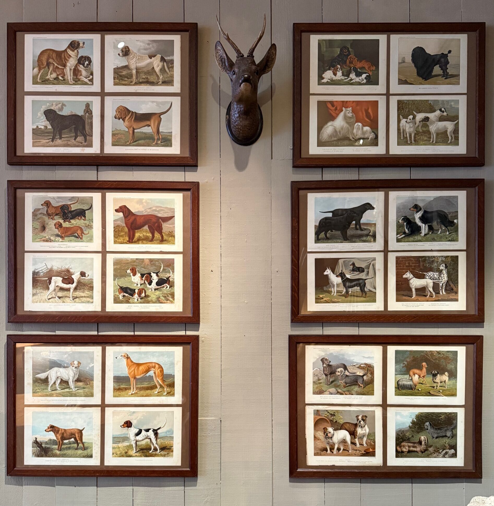 Ensemble de gravures “Chiens d’après Vero Shaw” – ca.1890