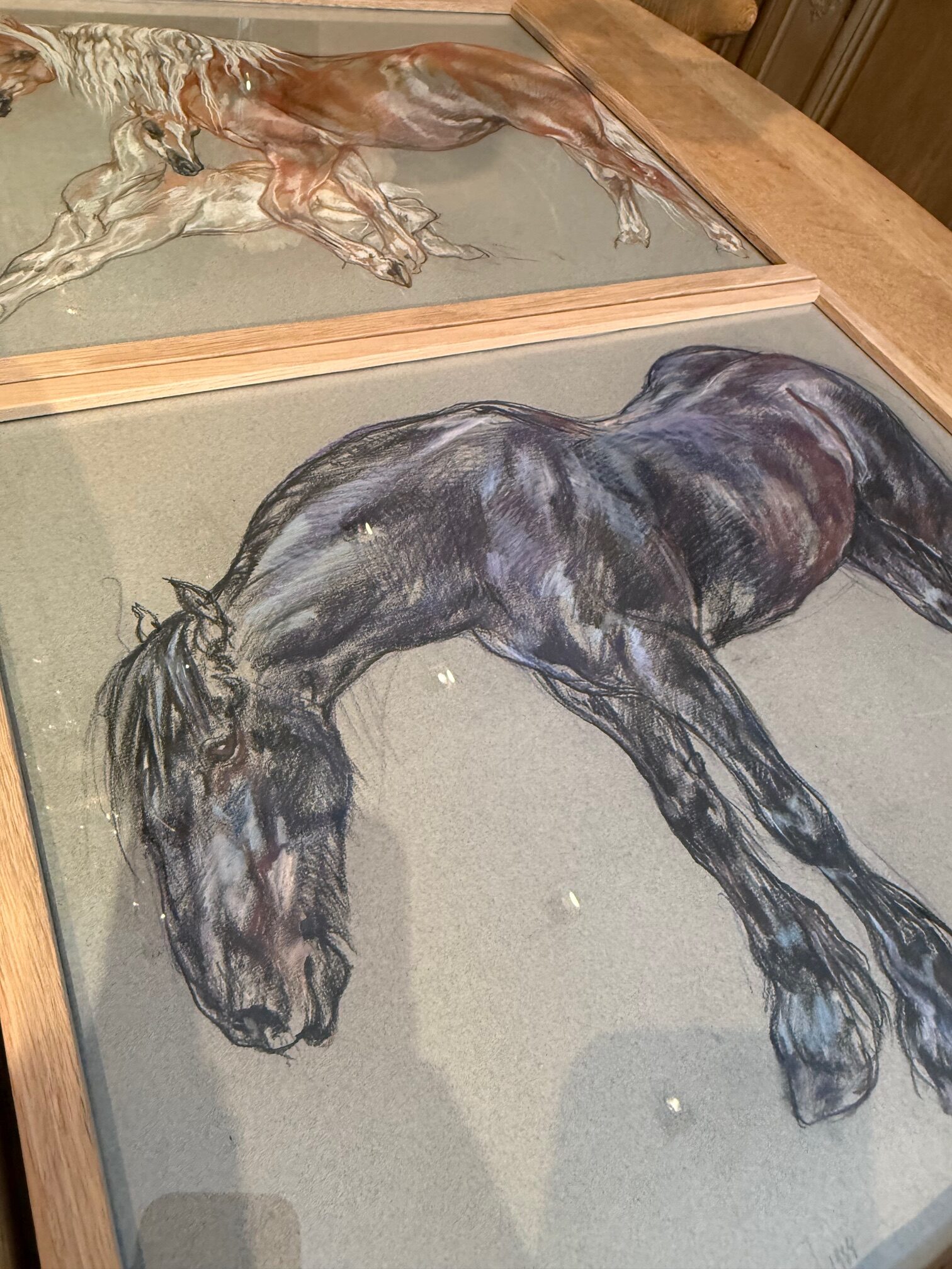6 dessins au pastel d'études de Chevaux - XXe – Image 2